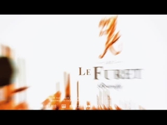 Le Furet Cougar Armagnac XO